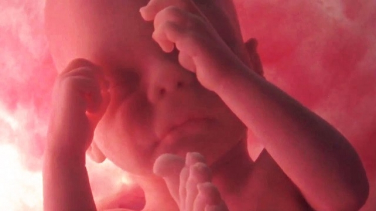 Toto úžasné video zaznamenává 9 měsíců těhotenství za 4 minuty...