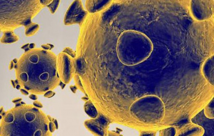 Nový americký výzkum připouští, že virus nemusí být přírodního původu.