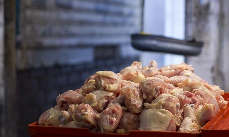 EU na žádost USA opět uvažuje o chemickém postřiku kuřecího masa