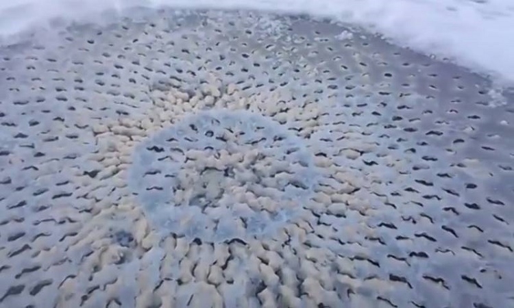 Podivný úkaz na jezeře v Utahu. Přírodní jev, nebo mimozemský původ?