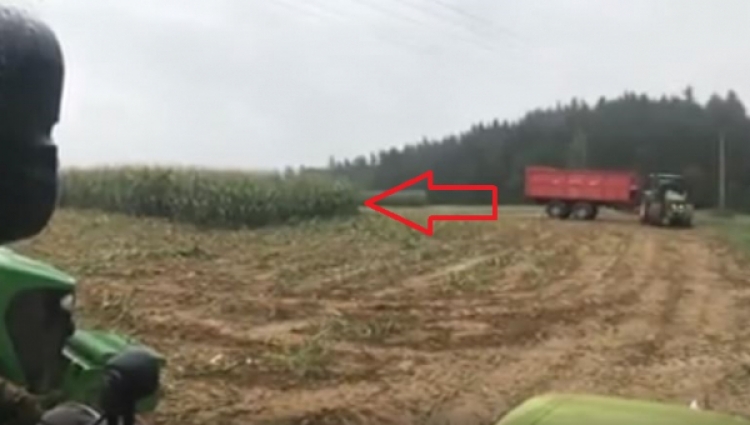 Čeští farmáři sekali kukuřici, když se nečekaně stalo tohle...